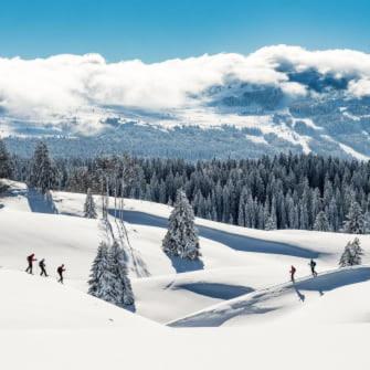 Studio 3 Lägenhet Moirans-en-Montagne Exteriör bild